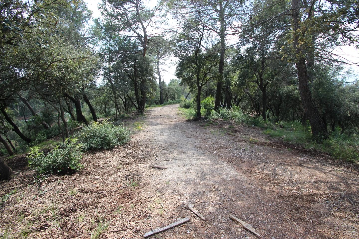Una parcel·la de 2.860 m² amb vistes a l'Montserrat, a Els Caus